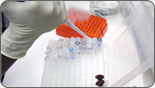 product_image3
